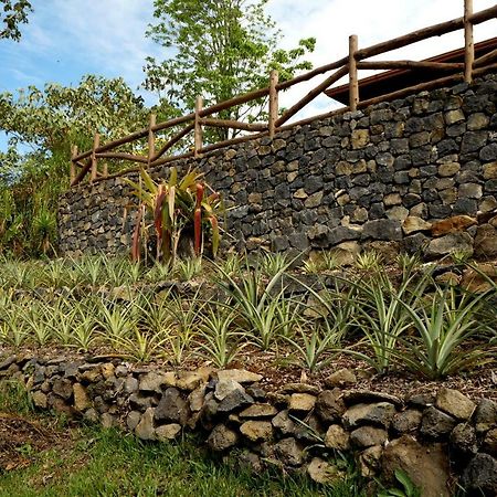 Finca Estacion Descansos Bed & Breakfast Paraiso  Exterior photo